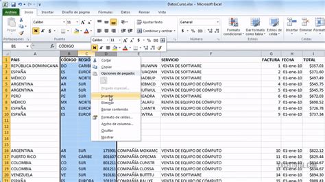 comando para insertar filas en excel|Insertar o eliminar filas y columnas